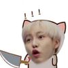 _sukainjun_