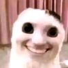 aldotcow