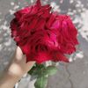 user2918290054815