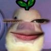 korizen_ndaaaa