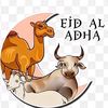 ai.mariam89
