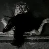 obsessi0n_nakra