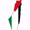 asomalshrabe338