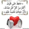 user1162116131331