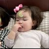 zah_gengster