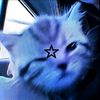 willy.alviano59