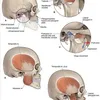 teatchmaxxing