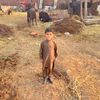 mehar.gullam.ali0