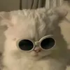 jjd__46
