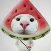 mai._.khanh