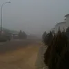 rahym_7077