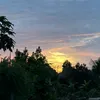 anhthi704