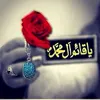 user220662379793