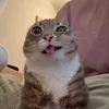huynhmin67890