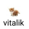 vitalik_ebalik