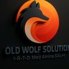 oldwolfsolution