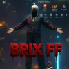brixfn1