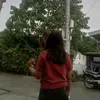 clnajysx_7