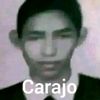 brandito.carcaust
