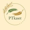 ptkaset7