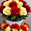 jeewanthi26