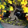 sanghuynh4782