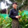 linn.ryoung.oo3