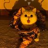kitten_manta