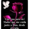 isabel.ruiz706