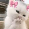 iluv_yurverette