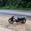 alow285