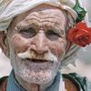 faycal.elhadj