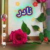 nader.nasser337