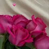 rorita448