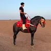 LHEMRI🇲🇦MODENESI🇮🇹