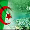 user7009310655077