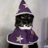 wizardcattheshort