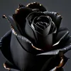 blackrose4659