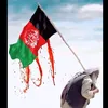 tajuddin.mazloom