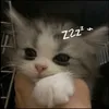 .wh0areyouuuuuu