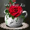 mohamedsaed1920