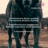 user84437171120093