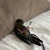 parrot12461
