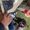 mello_rsa01