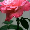 user111117158