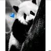 user6182165157561