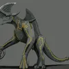 phyllomedusa456