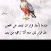 mohamed.abdela40