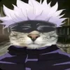 nachitocuquito