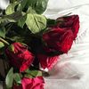 taqwa_ba22
